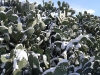 2014-12-31-10-32-26