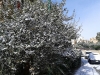 2014-12-31-10-36-19
