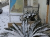 2014-12-31-10-40-09