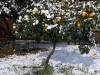 2014-12-31-10-40-31
