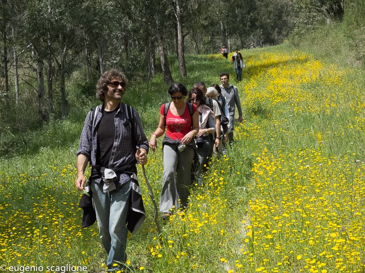 Festa della primavera 2014